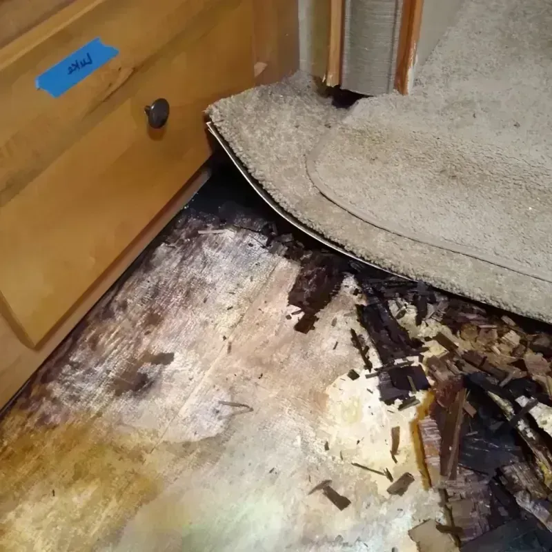 Wood Floor Water Damage in Johnson City, NY